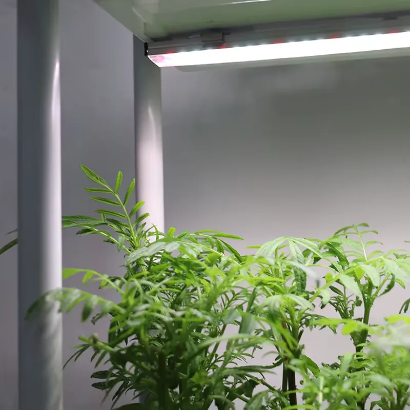 Self Watering Planter - Przenośny, pionowy, 3-poziomowy, samonawadniający się inteligentny