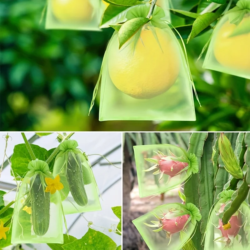 100 szt. Zielonych worków ochr – Grow Bag recenzja i cena