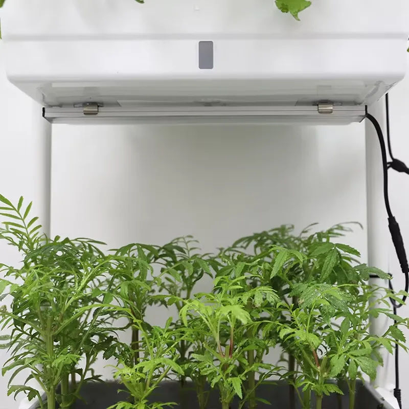 Przenośny, pionowy, 3-poziomow – Self Watering Planter recenzja i cena