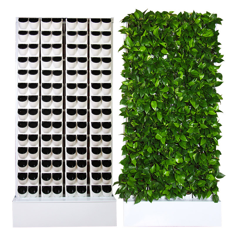 Hydroponiczny zestaw do uprawy – Hydroponic Kit recenzja i cena