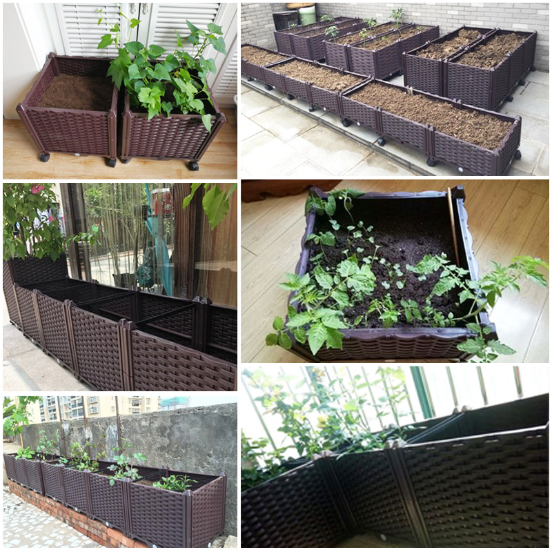 Podwyższona lejek do ogrodu z  – Indoor Herb Garden recenzja i cena