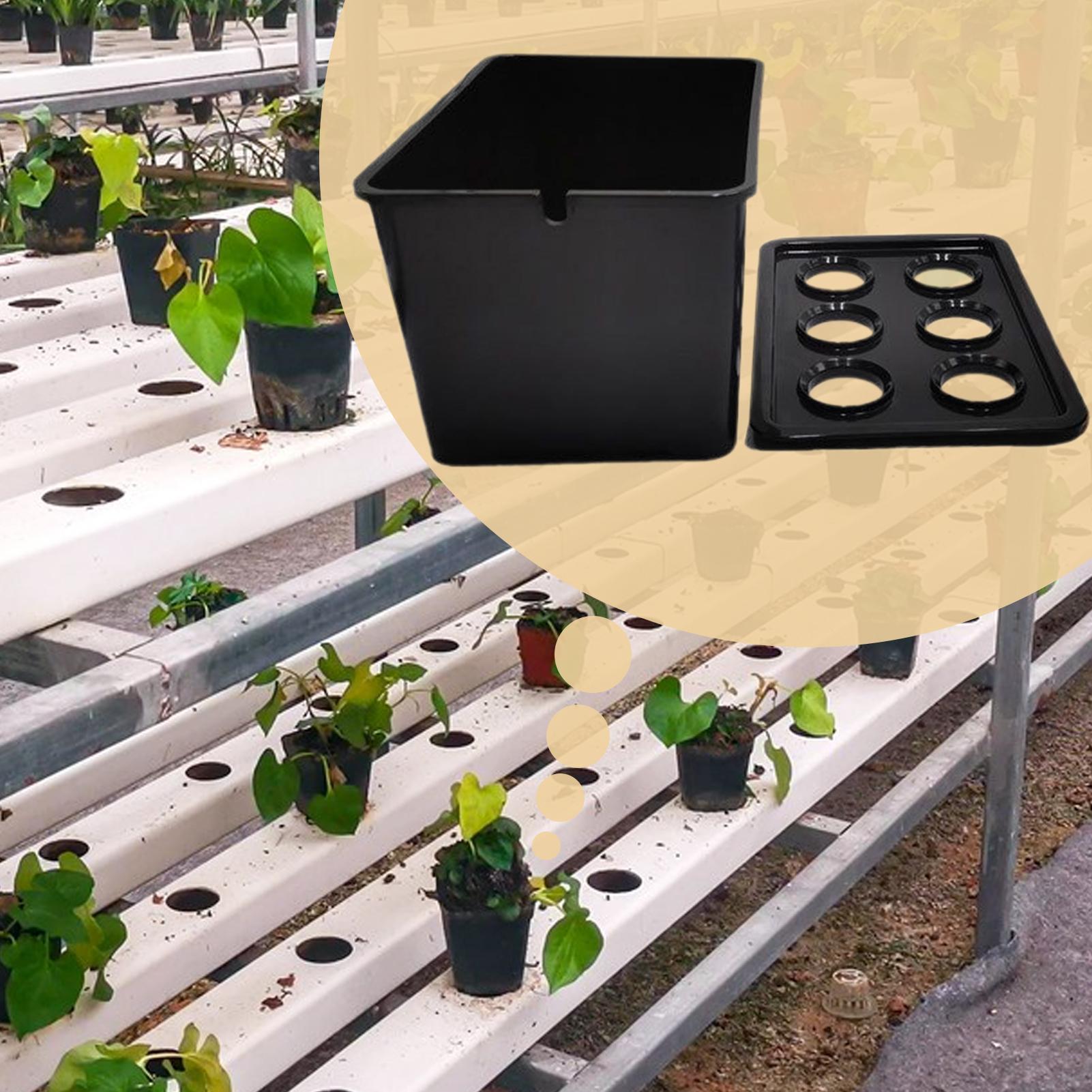 Zestaw do hydroponiki dla pocz – Hydroponic Kit recenzja i cena